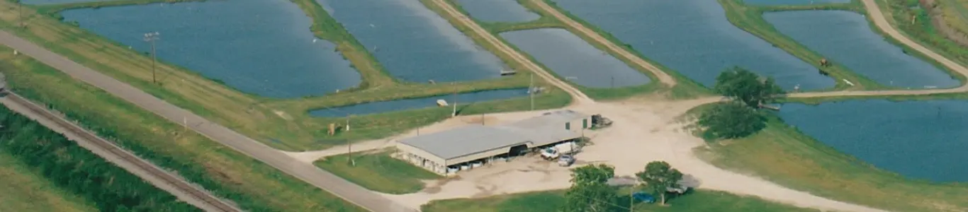Aerial view of Danbury Fish Farms