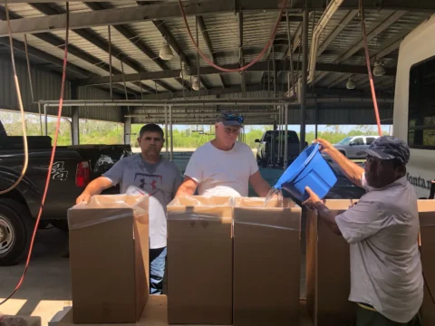 Filling Live Pak Boxes at Slab Sale